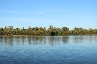 Similar image 22225909