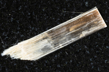 Similar image 22228709