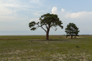 Similar image 22226153