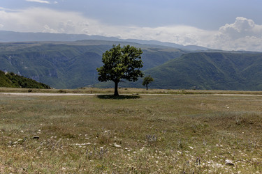 Similar image 22225232