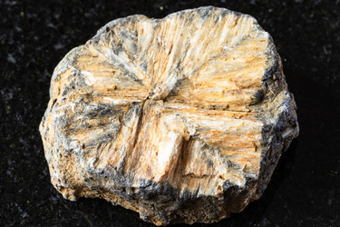 Similar image 22257290