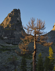 Similar image 22229411