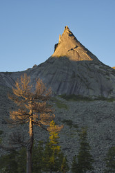 Similar image 22229419