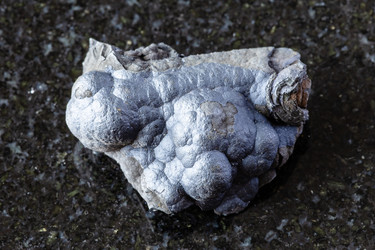 Similar image 22257502