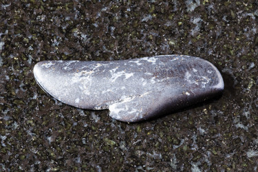 Similar image 22256957