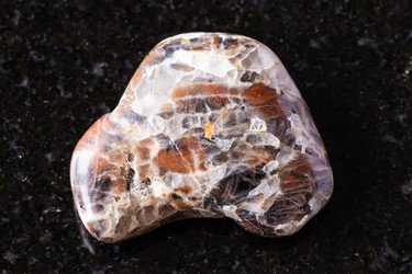 Similar image 22256962