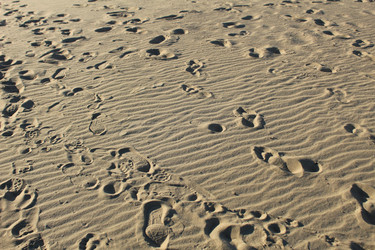 Similar image 22225910