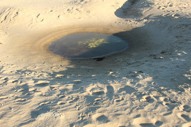 Similar image 22225911