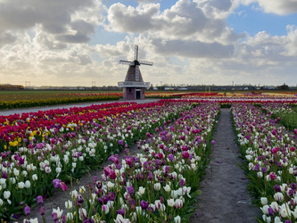 Similar image 22232214