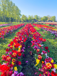 Similar image 22232215