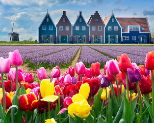 Similar image 22232218