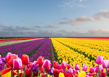 Similar image 22232532