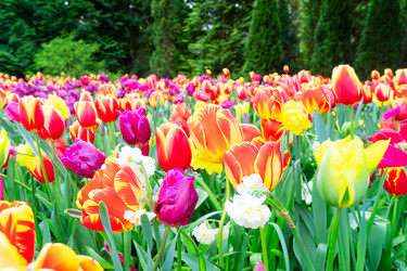 Similar image 22232535