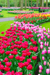 Similar image 22232536