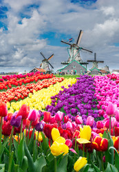 Similar image 22232537