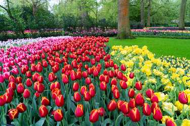 Similar image 22232539