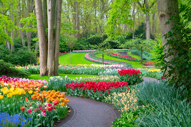 Similar image 22232540