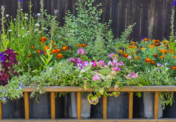 Similar image 22225324