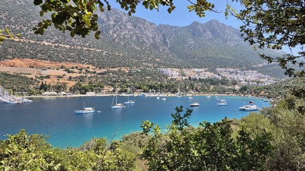 Similar image 22226069