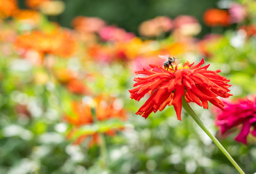 Similar image 22225666