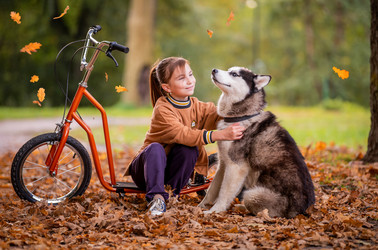 Similar image 22225235