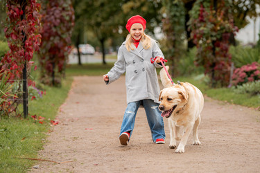 Similar image 22256837