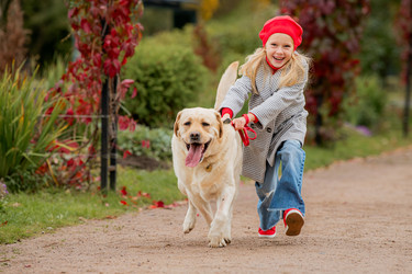 Similar image 22256838