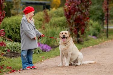 Similar image 22256839