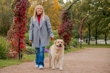 Similar image 22225256