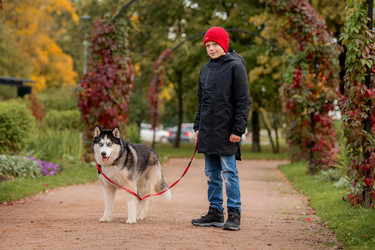 Similar image 22225257