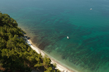 Similar image 22225343