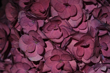 Similar image 22225344