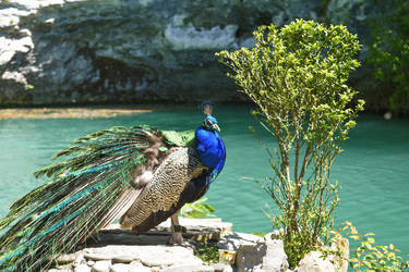 Similar image 22225083