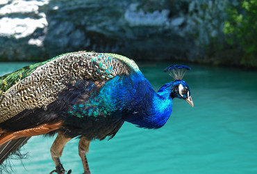 Similar image 22225084