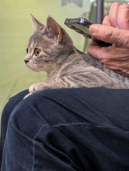 Similar image 22225345