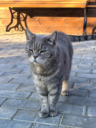 Similar image 22225346