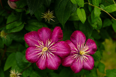 Similar image 22225347