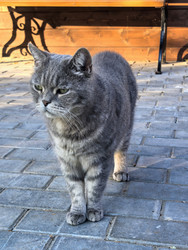 Similar image 22225348