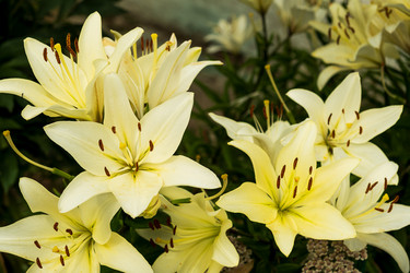 Similar image 22225349