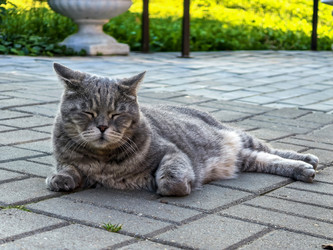 Similar image 22225350