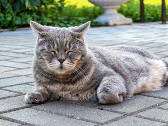 Similar image 22225351