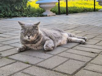 Similar image 22225353