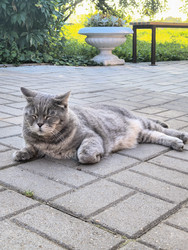 Similar image 22225354