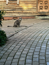 Similar image 22225355