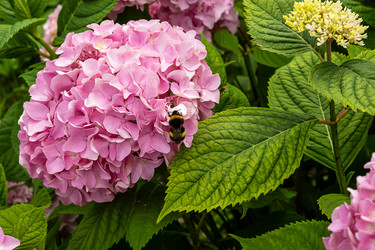 Similar image 22225356