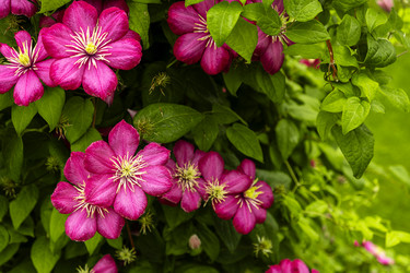 Similar image 22225357