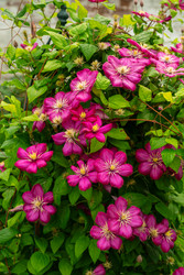 Similar image 22225358