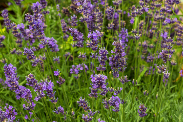 Similar image 22225359