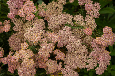 Similar image 22225360