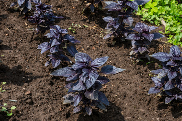 Similar image 22225363